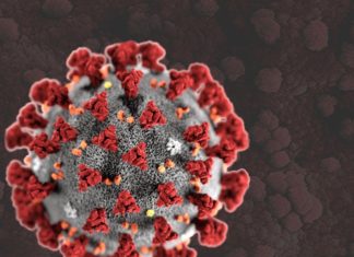 ગુજરાત કોરોના અપડેટ:રાજ્યમાં છેલ્લા 24 કલાકમાં 1221 પોઝિટિવ કેસ નોંધાયા, 10 લોકોના થયા મૃત્યુ