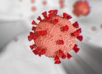 ગુજરાત કોરોના અપડેટ:રાજ્યમાં છેલ્લા 24 કલાકમાં 1185 પોઝિટિવ કેસ નોંધાયા, 11 લોકોના થયા મૃત્યુ