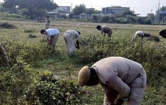 અમરેલી જીલ્લા હોમગાર્ડ માં લીગલ ઓફિસર અને ચિતલ ઓફિસર કમાન્ડર મહિલા ની અનોખી સિધ્ધિ