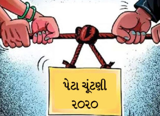 આજે ધારી વિધાનસભા માટે જાણો કેટલા ઉપાડ્યા ઉમેદવારી ફોર્મ