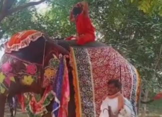 બાબા રામદેવને ભારે પડ્યો ગજ યોગ….. જુઓ વીડિયો