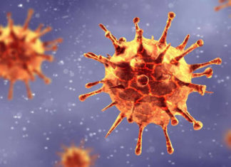 મદ્રાસ હાઇકોર્ટની ફટકાર બાદ જાગ્યું ચૂંટણીપંચ, જાણો શું લીધો નિર્ણય