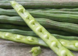 શું તમે જાણો છો સરગવાનું સેવન કરવાથી થાય છે આટલા ફાયદા