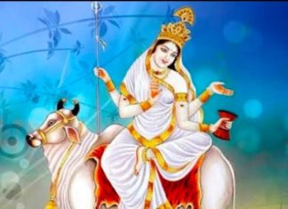 Navratri 2025: નવરાત્રીના પહેલા દિવસે કરો મા શૈલપુત્રીની આરાધના, જાણો પૂજાનું મહત્વ અને રીત Navratri Day 1