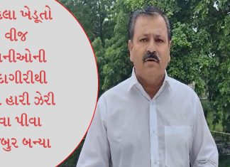 વિન્ડફાર્મ કંપનીની દાદાગીરી સામે પાલ આંબલીયાએ ઠાલવ્યો આક્રોશ, જાણો શું કહ્યું વિન્ડફાર્મ કંપનીની દાદાગીરી સામે પાલ આંબલીયાએ ઠાલવ્યો આક્રોશ, જાણો શું કહ્યું