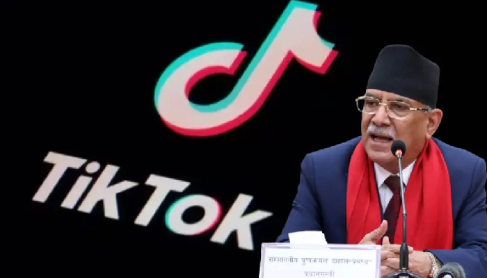 ભારત બાદ હવે નેપાળમાં પણ TikTok પર પ્રતિબંધ, જાણો શું છે મામલો