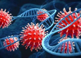 દેશમાં કોરોનાનો ફરી પગપસારો..!! કેસની સંખ્યા વધતા દેશભરનુ આરોગ્યતંત્ર એલર્ટ….