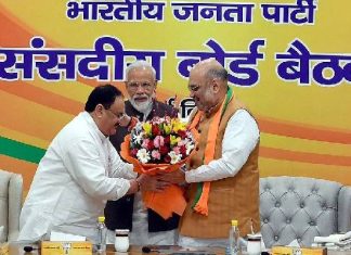 BJPએ બદલ્યું પક્ષનું બંધારણ, હવે ચૂંટણી વિના રાષ્ટ્રીય અધ્યક્ષની થશે નિમણૂક