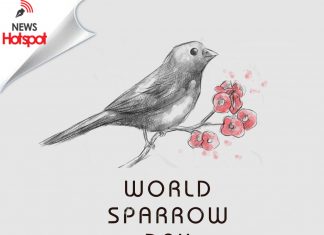 20 માર્ચ: આજે વિશ્વ ચકલી દિવસ, જાણો આજના દિવસનો સંપૂર્ણ ઇતિહાસ