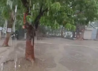 Amreli: સાવરકુંડલામાં વીજળીના કડાકા-ભડાકા સાથે વરસાદનીબેટિંગ શરૂ, ગરમી અને બફારામાં રાહત…