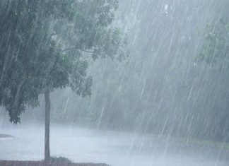રાજ્યમાં જામ્યો વરસાદી માહોલ, માછીમારોને દરિયો ન ખેડવાની સૂચના.. રેડ એલર્ટ જારી