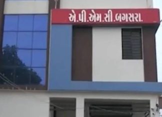 Amreli: બગસરા માર્કેટિંગ યાર્ડમાં આજે ચેરમેન અને વાઇસ ચેરમેનની ચૂંટણી, હુકમનો એક્કો વેપારી ડિરેક્ટર રહેશે