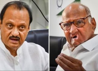 Maharastra: વિધાનસભા ચૂંટણી પહેલા અજિત પવારને લાગશે મોટો ફટકો! શરદ પવાર ખેલશે મોટો ખેલ