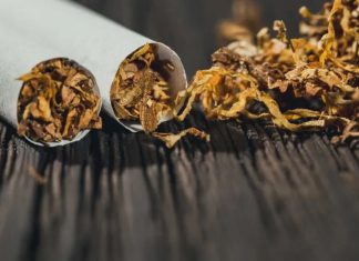 તમાકુનું સેવન અને વેચાણ કરનારાઓ સાવધાન! આ નિયમોનું પાલન ન કરનાર સામે કરવામાં આવશે કડક કાર્યવાહી