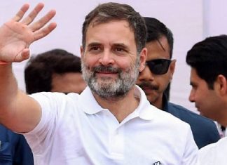 ભાજપના ગઢમાં ફરી એક વખત રાહુલ ગાંધી નાખશે ધામા, હવે શું નવો પ્લાન ? ભાજપના ગઢમાં ફરી એક વખત રાહુલ ગાંધી નાખશે ધામા, હવે શું નવો પ્લાન ?