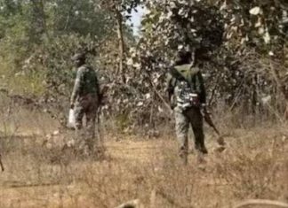 છત્તીસગઢ: બીજાપુરના જંગલમાં નક્સલવાદીઓએ કર્યો IED બ્લાસ્ટ, 2 જવાન શહીદ