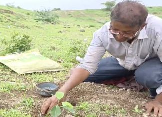 સાવરકુંડલાના એક વ્યક્તિએ મર્યાદિત સંસાધનોથી ઉભુ કર્યું વૃક્ષોનું સામ્રાજ્ય