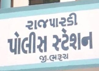 ઝઘડિયા તાલુકાના રાજપારડી ચાર રસ્તા નજીક અજાણ્યા વાહનની અડફેટે પરપ્રાંતિય શ્રમજીવીનું મોત