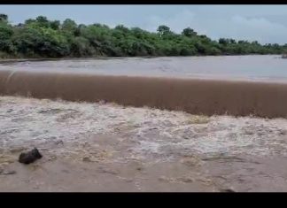 Amreli: ખાંભા ગીર વિસ્તારમાં ધોધમાર વરસાદ થતા આંબરડી ગામની ધાતરવડી નદી ગાડી તુર બની ઘોડાપુર આવ્યું