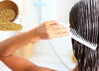 Hair Care: મેથીના દાણાનો કરો આ રીતે ઉપયોગ, ખરતા વાળ અને ડેન્ડ્રફની સમસ્યામાં મળશે રાહત