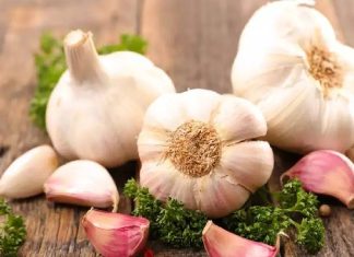 લસણ શાકભાજી છે કે મસાલો? MP હાઈકોર્ટે 9 વર્ષ બાદ આપ્યો ચુકાદો… જાણો શું છે વિવાદ