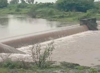 Amreli : કુંકાવાવ-વડીયા અને બગસરા તાલુકામાં 100 % થી વધુ વરસાદ નોંધાયો, જાણો બાકીના તાલુકાની શું છે સ્થિતિ