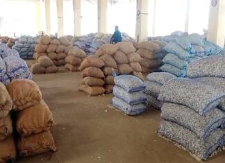 ચાઈનીઝ લસણ મામલે સૌરાષ્ટ્ર ભરના APMCમાં લસણની હરાજી બંધ, વેપારીઓનો ઉગ્ર વિરોધ