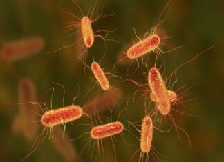 2050 સુધીમાં 4 કરોડ લોકોના મોત થશે ! આખી દુનિયા પર હવે આ બીમારીનું સંકટ