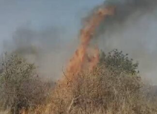 આંબરડી ગામ નજીક રેવન્યુ વિસ્તારમાં લાગી મોટી આગ