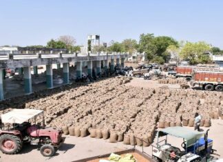 ધારી તાલુકામાં 849 ખેડૂતોએ ચણાના ટેકાના ભાવનો લીધો લાભ, ખેડૂતોના ખાતામાં થયા આટલા રૂપિયા જમા