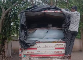 Amreli: ખાંભાના ડેડાણ ગામે ધારી પ્રાંત અધિકારીઓ દ્વારા રાત્રીના દરોડામાં ગેરકાયદેસર રેશન જથ્થો ઝડપાયો