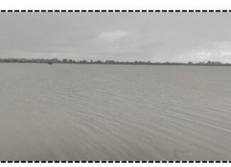 Amreli : ધારીના લાખાપાદરનો ડેમ થયો ઓવરફ્લો, 12થી વધુ ગામોને થશે લાભ