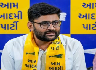 ભાવનગરમાં બેનર મુદ્દે રકઝક: ગોપાલ ઈટાલિયાનો મનપા એસ્ટેટ અધિકારીને ફોન, AAPના બેનર હટાવતાં વિવાદ…