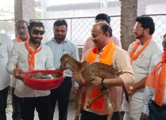 અમરેલી જીલ્લા ભાજપ પ્રમુખ અતુલ કાનાણીના જન્મ દિવસની સેવામય ઉજવણી કરતા કાર્યકરો…