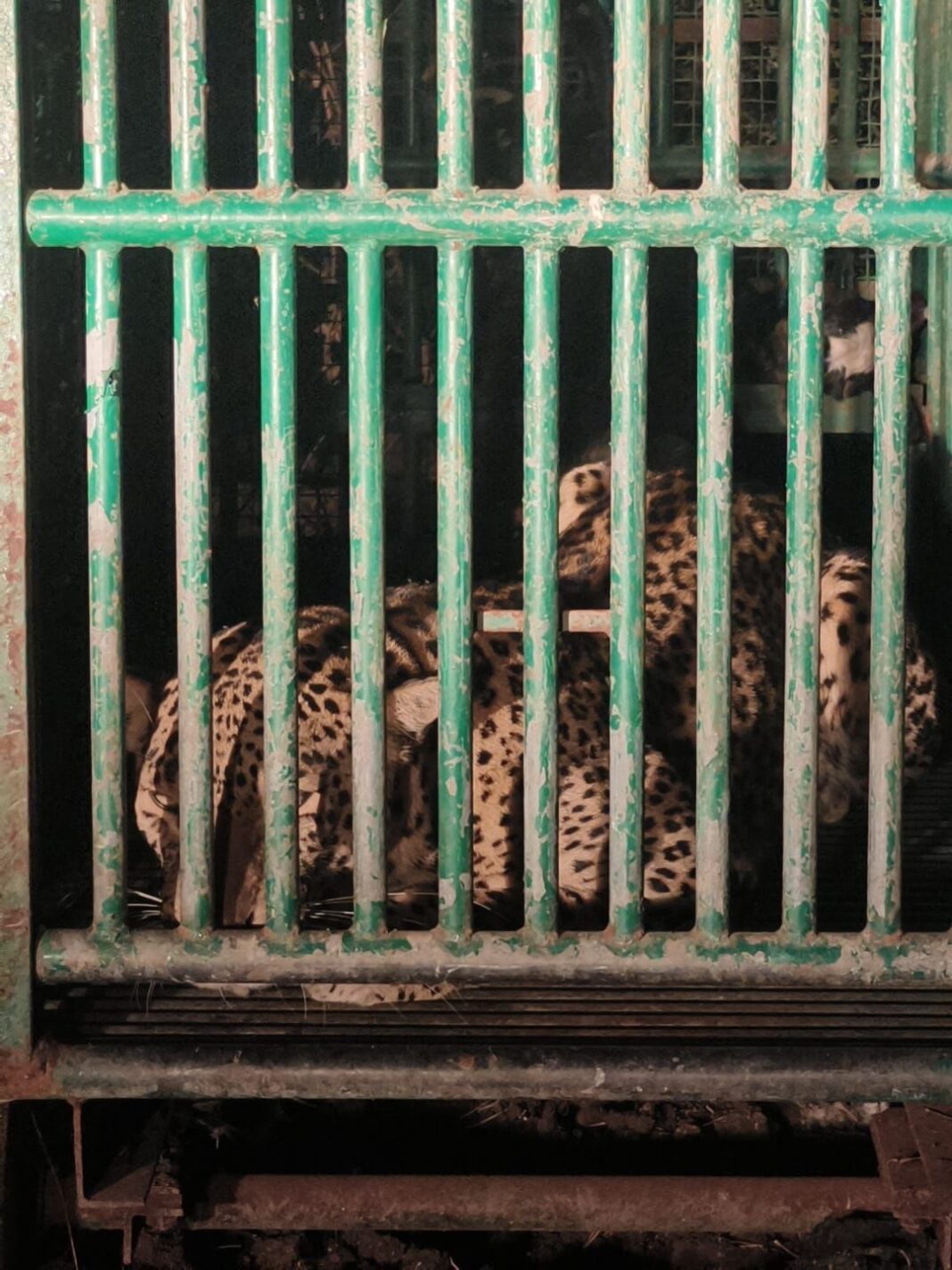 WhatsApp Image 2026-02-25 at 7.50.54 AM