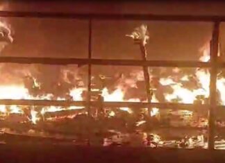 અમરેલી: સાવરકુંડલા જુના બસસ્ટેન્ડ પાસે સેન્ટર પોઇન્ટ કોમ્પ્લેક્ષમાં આગ, ટીવી રીપેરીંગ દુકાનમાં નુકસાન…