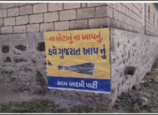 Amreliના માલવણ ગામમાં Aam Aadmi Partyના પોસ્ટર મુદ્દે વિવાદ, સરપંચે જિલ્લા કલેકટરને કરી લેખિત રજૂઆત
