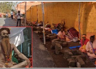 ભવનાથના મહાશિવરાત્રીના મેળામાં પુરવઠા તંત્રના સંકલનથી પાણી, દુધ-છાસ અને ગેસ વ્યવસ્થાનું સંપૂર્ણ સંકલન કરાયું