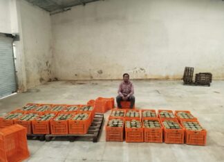 ગીર સોમનાથમાં SOGની કાર્યવાહી : બે વર્ષ જૂનો 16000 લિટર અખાદ્ય કેરીનો રસ ઝડપી પાડ્યો…