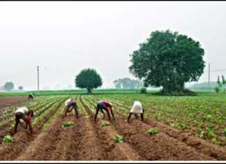 રાજ્યમાં ગણોતીયાઓને ખરીદ કિંમત ભરપાઈ કરવાની મુદત લંબાવાઇ, જાણો વિગત