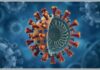 કોરોનાનો નવો વેરિયન્ટ આવ્યો સામે, 23 દેશોમાં નોંધાયા કેસ