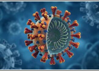 કોરોનાનો નવો વેરિયન્ટ આવ્યો સામે, 23 દેશોમાં નોંધાયા કેસ