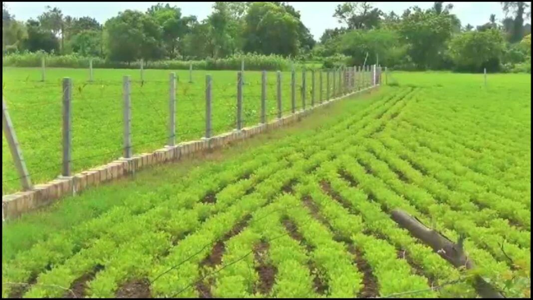 farmer newshotspot.co.in ..