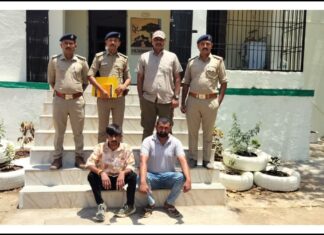 ગીર વિસ્તારમાં સિંહોની પજવણી કેસમાં બે આરોપીની અટકાયત, જાણો શું છે મામલો