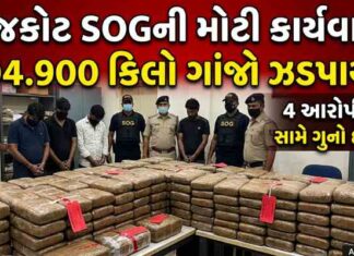 રાજકોટ SOGની મોટી કાર્યવાહી: 204.900 કિલો ગાંજો ઝડપાયો, ચાર આરોપીઓ સામે ગુનો…