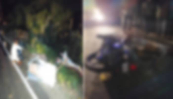 New Project (2)