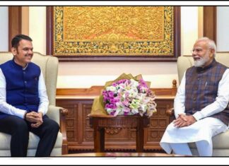 ફડણવીસે PM મોદીને દિલ્હીમાં કરી મુલાકાત, મહારાષ્ટ્ર છોડીને કેન્દ્રમાં જવાની અટકળો !