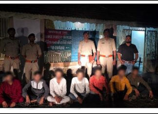 ગેરકાયદે પ્રવૃત્તિઓ સામે ધારી વન વિભાગની લાલ આંખ, 4 મહિનામાં નોંધાયા 75 ગુના