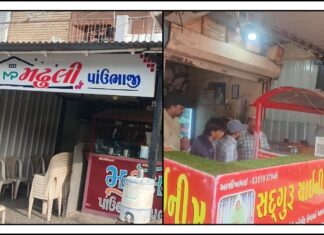 અમરેલીમાં ફૂડ વિભાગની કડક કાર્યવાહી: 23 એકમોની તપાસ, પ્રતિબંધિત એનાલોગ પનીરનો જથ્થો નાશ