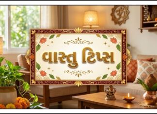 સખત મહેનત છતાં નોકરી-બિઝનેસમાં સફળતા નથી મળતી? વાસ્તુના આ 6 ઉપાય બદલી શકે છે પરિસ્થિતિ